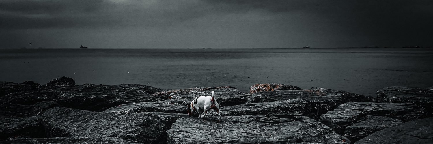 BcJeKm's profile banner image