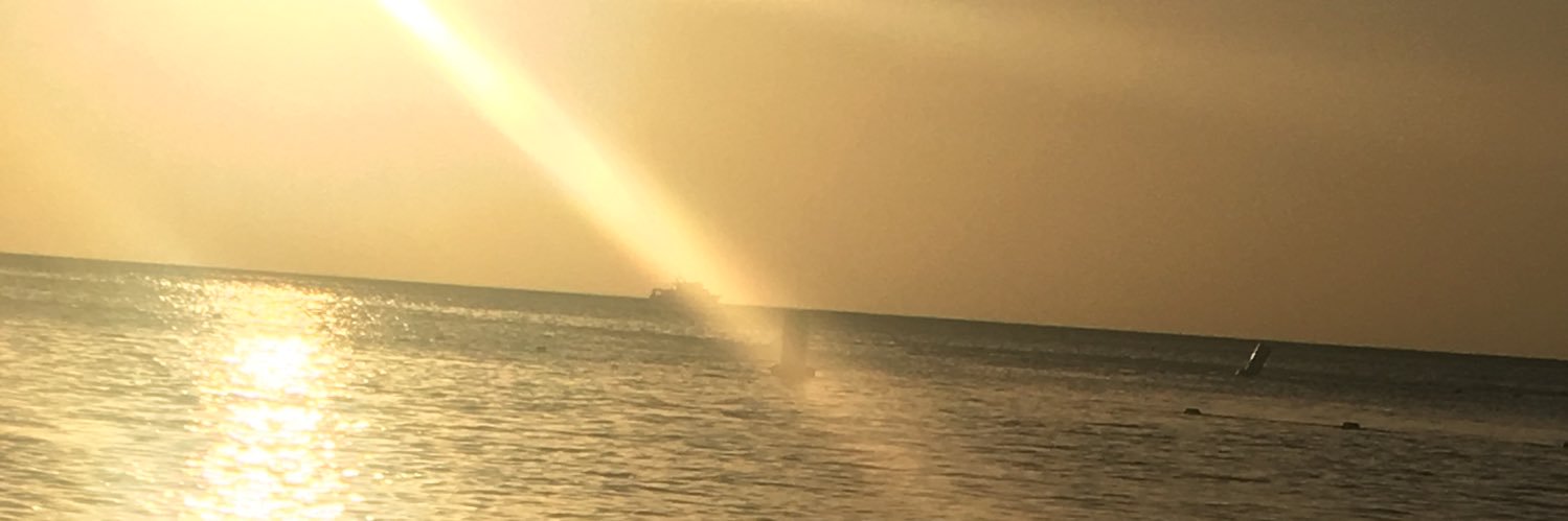 LBucacci's profile banner image