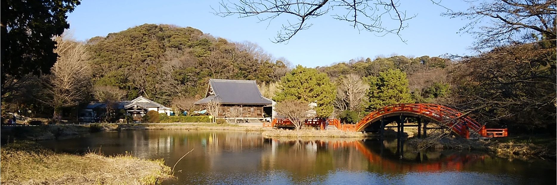 fuhojo's profile banner image