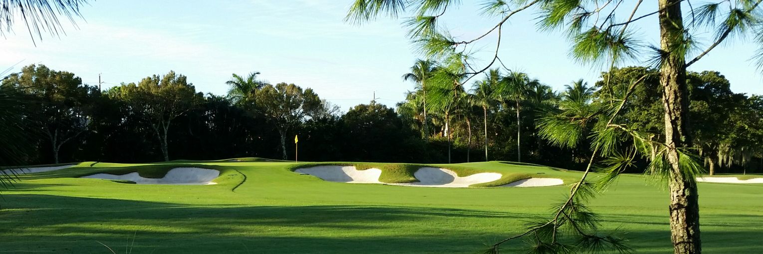 steve wright cgcs banner