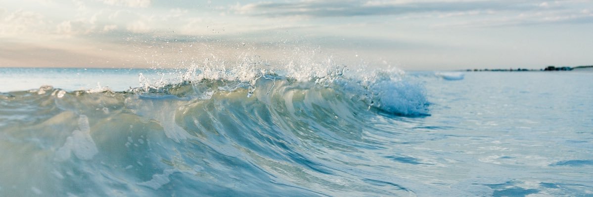 Joelle Perry Nappi banner