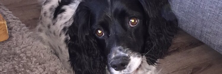 Millyyxox's profile banner image