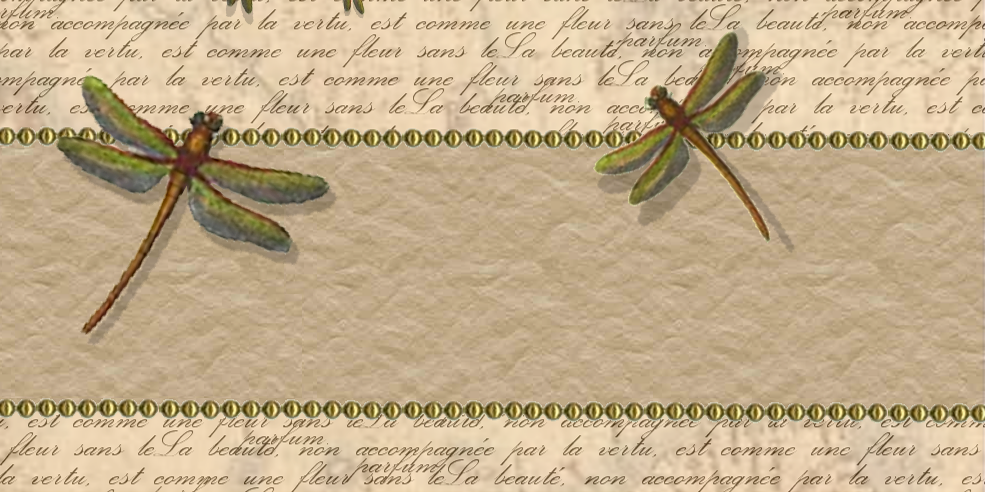 Dragonfly Properties (@DragonflyProp) / Posts / X