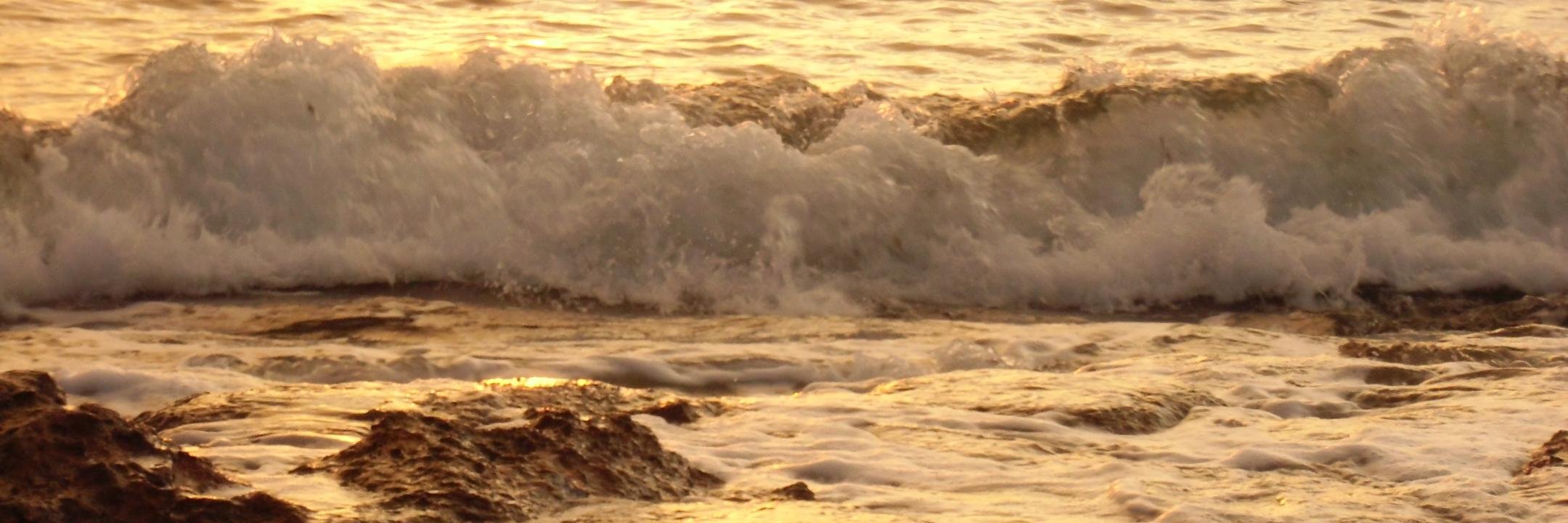 MonicaEnrich's profile banner image