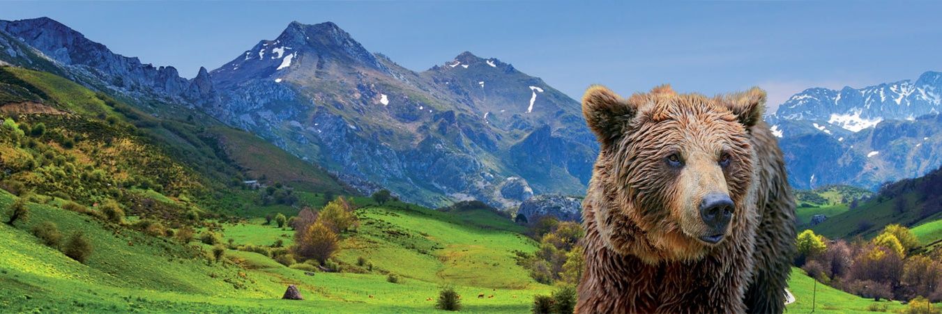 jomoar83's profile banner image