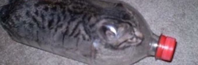 cabesabuque's profile banner image