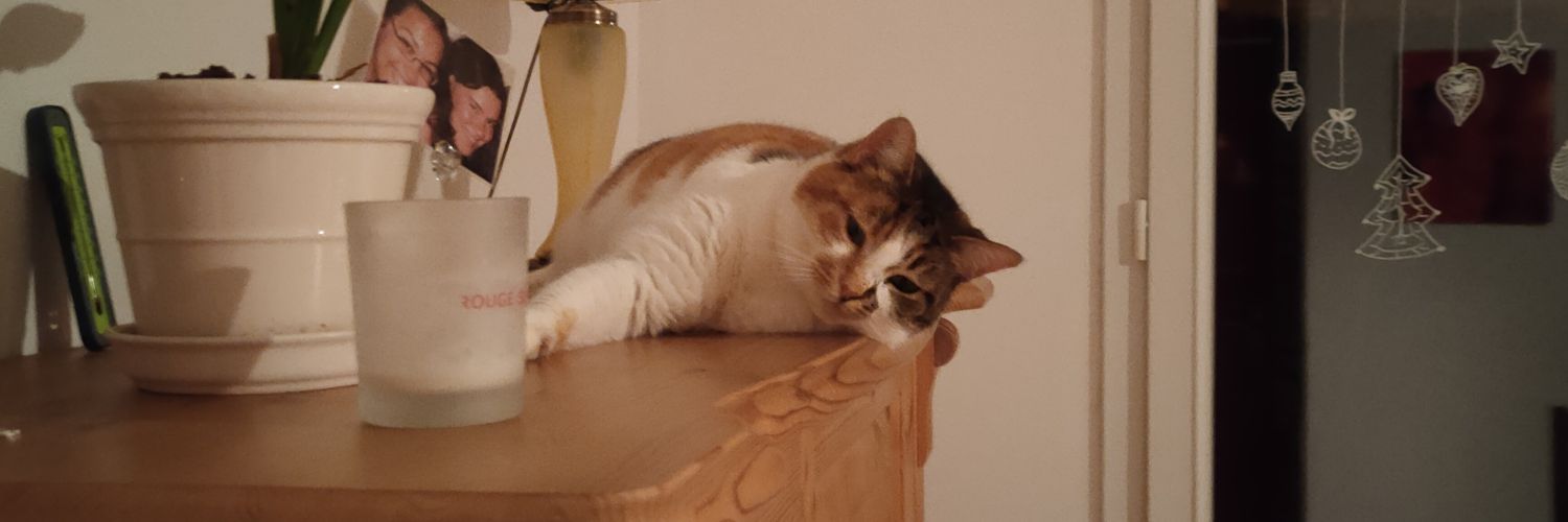 MiniBouh, Lady of Kilnaish banner