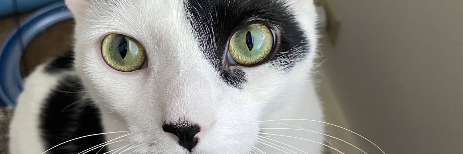 marissammarie's profile banner image