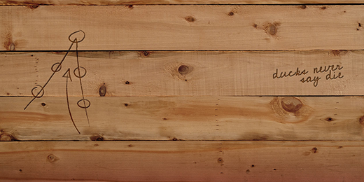 duckduckcoin's profile banner image