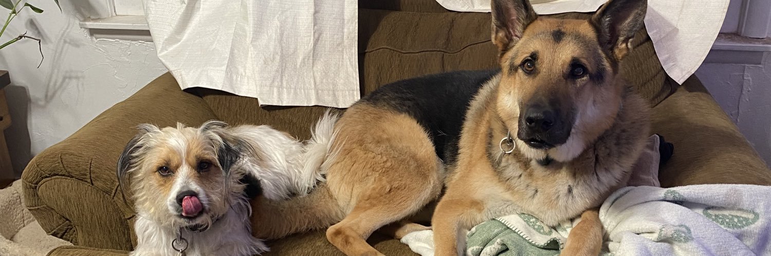 klaire austen banner