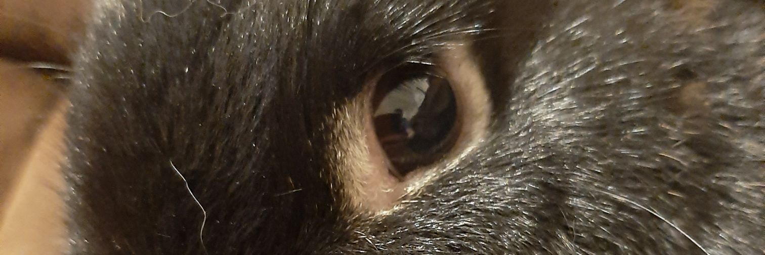 Tadaszmuide's profile banner image