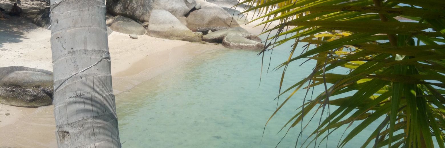 DancingWoman 💃💃 banner