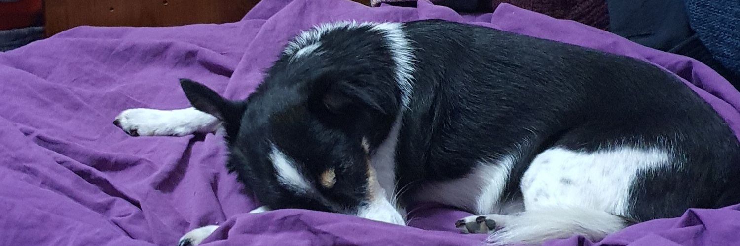 sarqthemighty's profile banner image