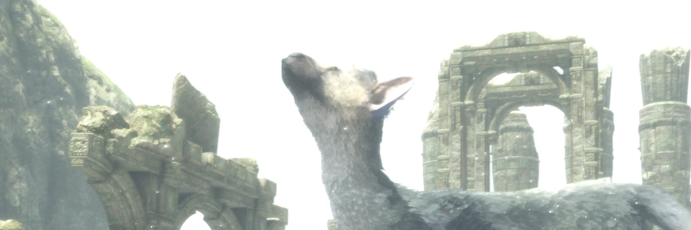 hyperrabbit2's profile banner image