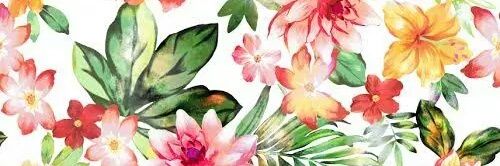 Sulee_cc16's profile banner image