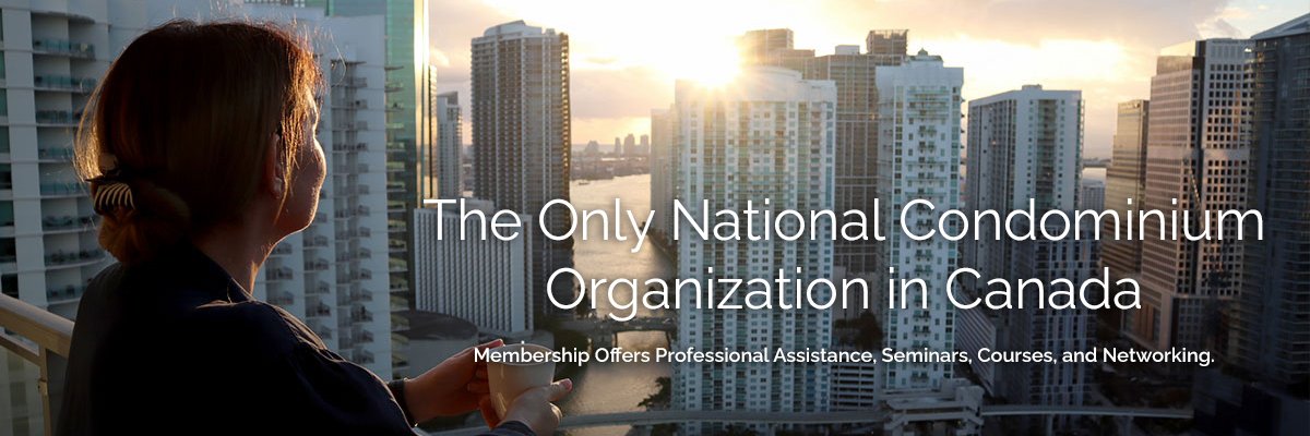 CCINational's profile banner image
