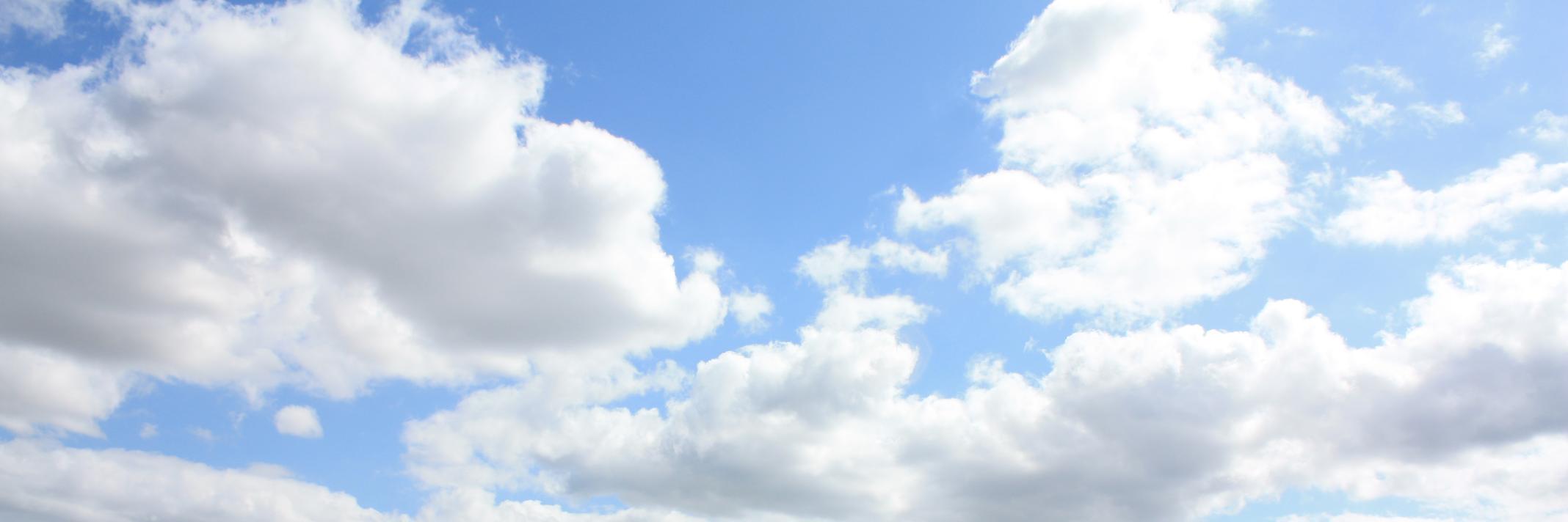 MsGrinev's profile banner image