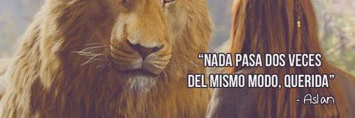 66Solimar's profile banner image