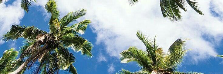 _beatadul's profile banner image