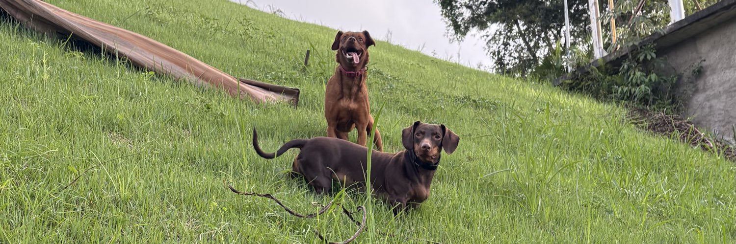 Reeh Fernanda banner