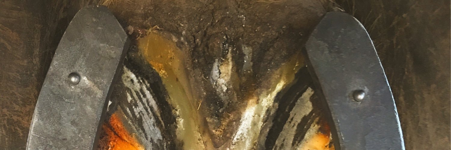 MarcJerram's profile banner image