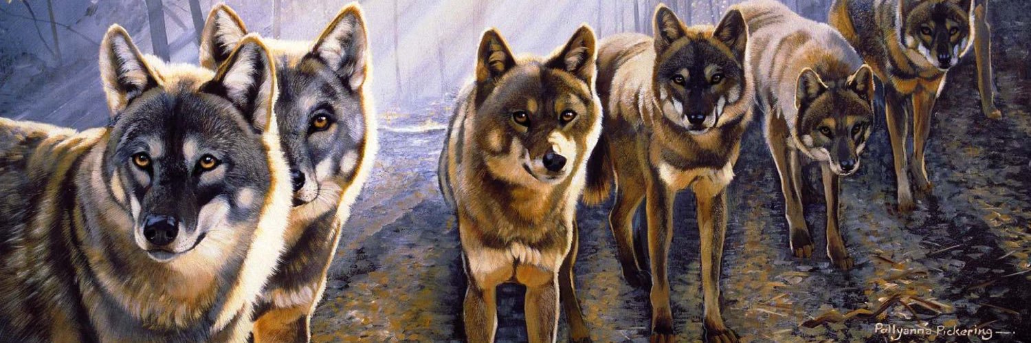 Chauncey Golston banner