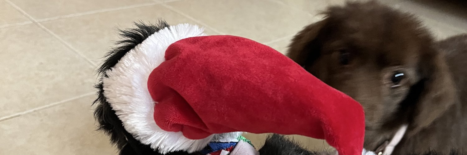 dindimadom's profile banner image