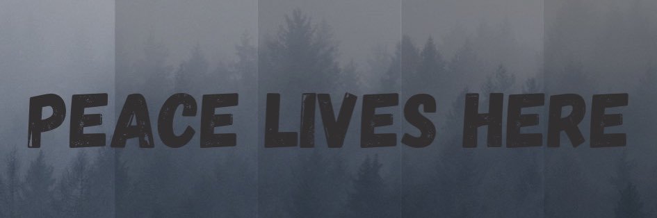 mj_beanz's profile banner image
