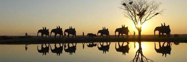 TateEscapes Profile Banner