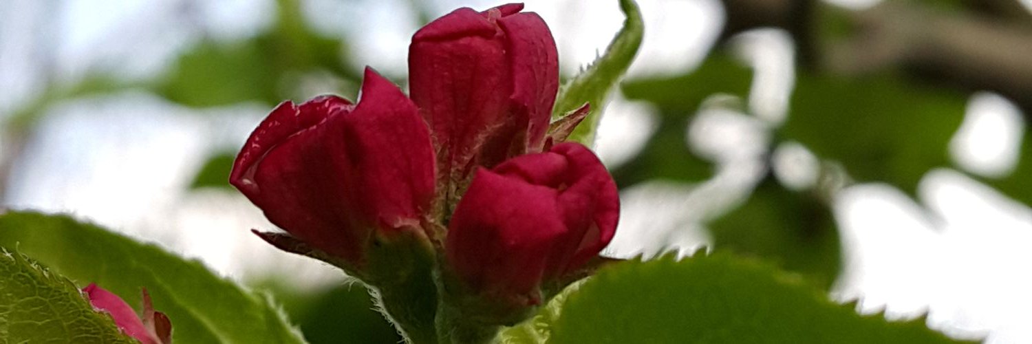 asdf56783's profile banner image