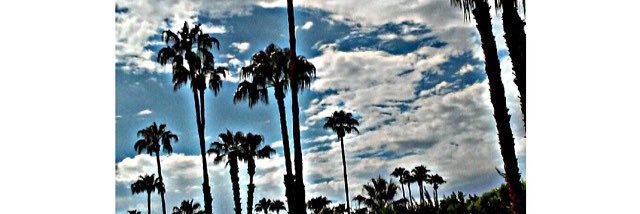 ty_melton_'s profile banner image