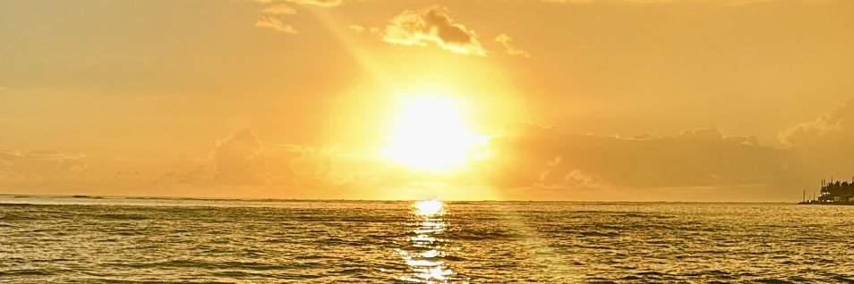 misshawaii banner