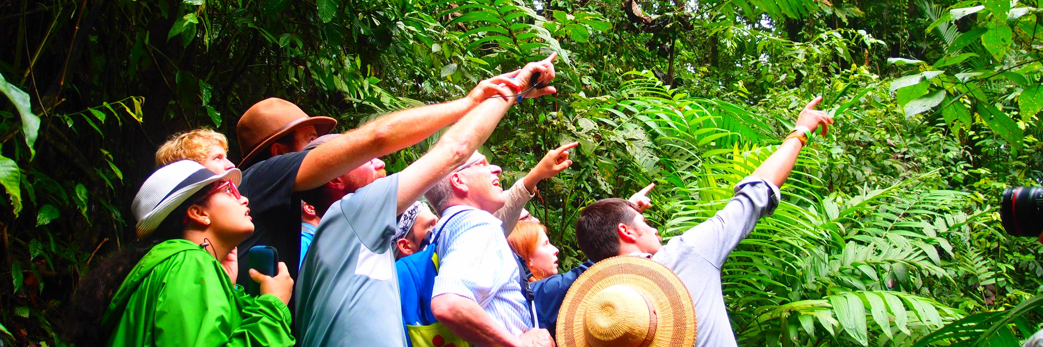 GSFProgram's profile banner image