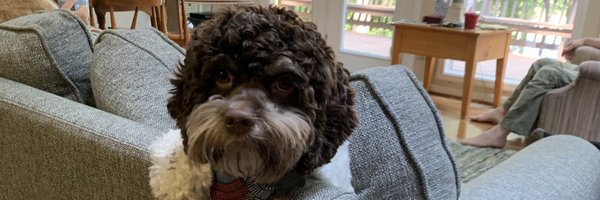 Its_Tucker Profile Banner