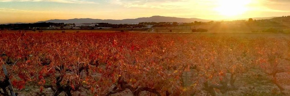 🚜 Marina🍷 banner