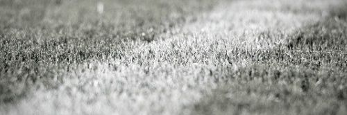 Profemacchi's profile banner image