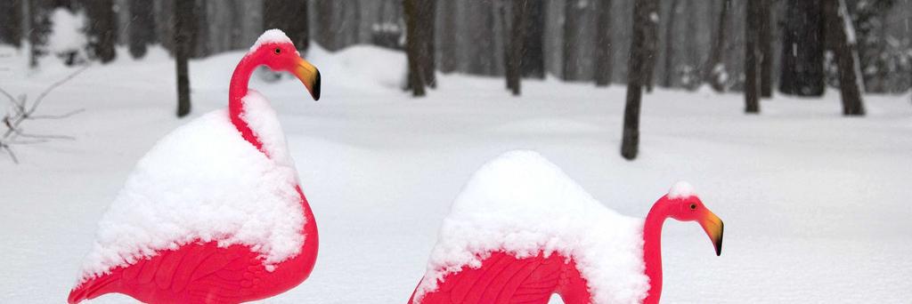 ladybeque's profile banner image
