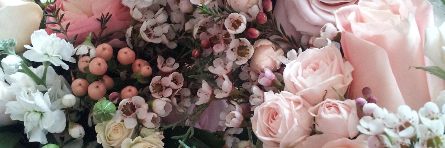 Elizabeth Friesen banner