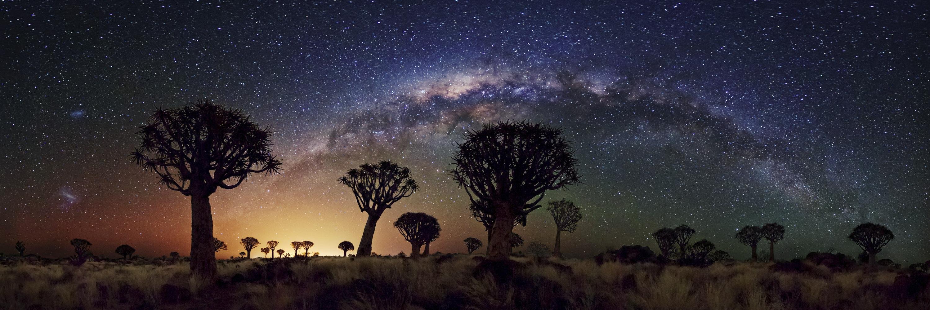 Larry Wehking banner