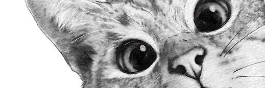 aanna_z's profile banner image