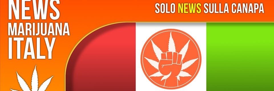 news marijuana italy banner