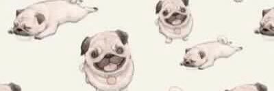 schearslato's profile banner image