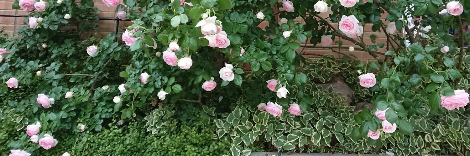 あつこ banner