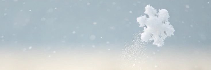 ⋆℘ حنايآ ℘⋆ banner