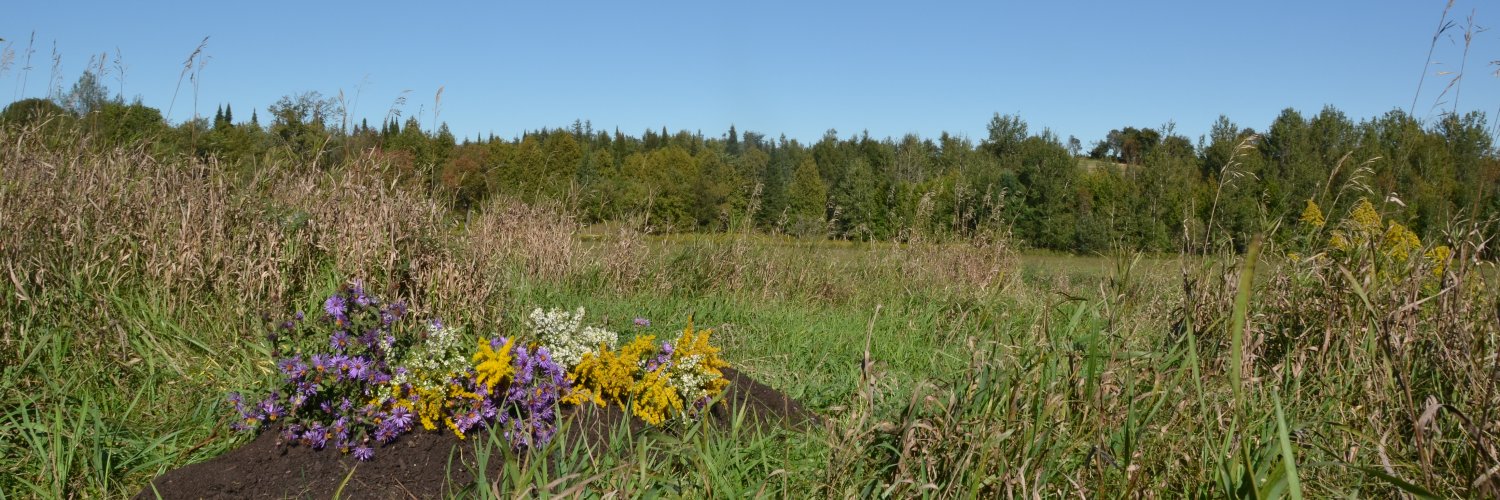 Natural Burial Association banner
