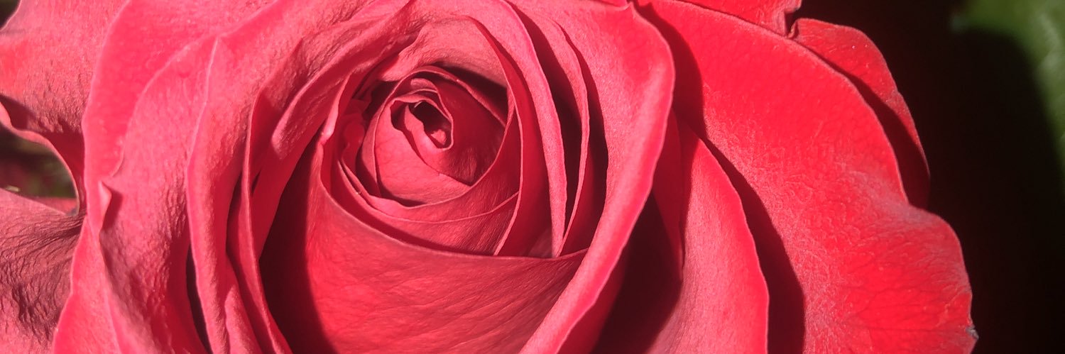 HayesMink's profile banner image