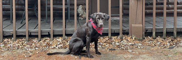 GavenBicks18 Profile Banner