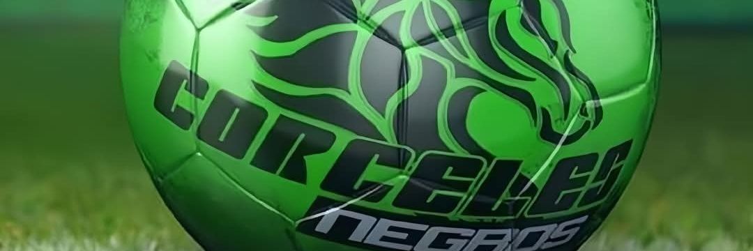 COBAED Nuevo Ideal banner