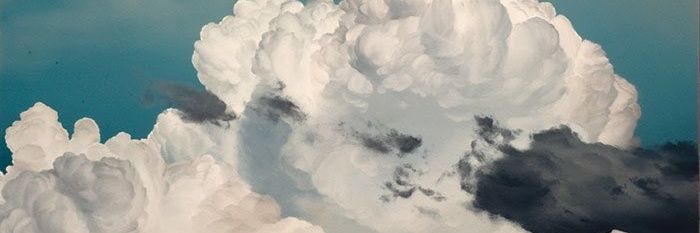 Ellie_Lefevre's profile banner image