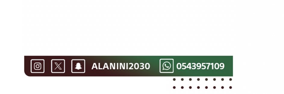 alanini2030's profile banner image